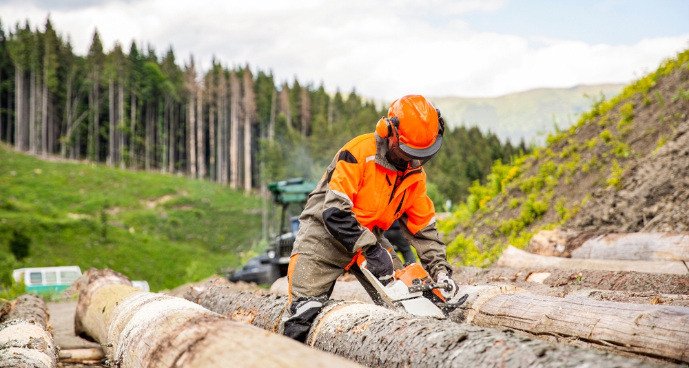 Pièces détachées pour la foresterie : conseils pour les revendeurs